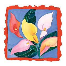 Calla Lillies